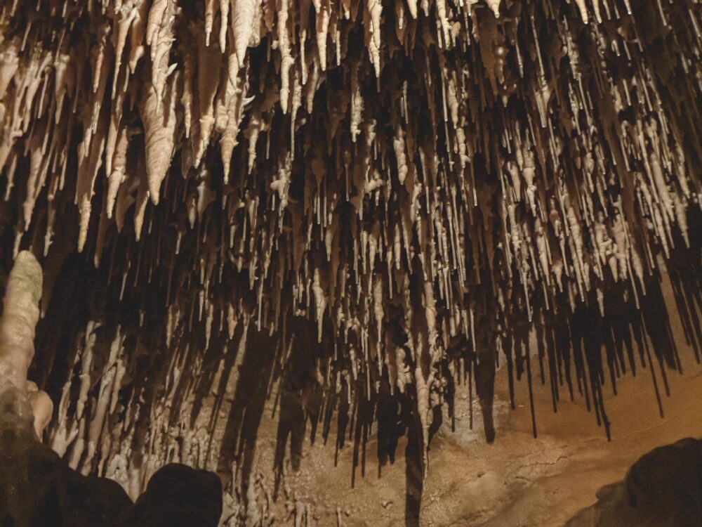 grotte-cougnac-2