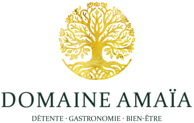 Logo Amaïa